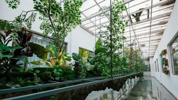 Un espacio interior moderno con techo de vidrio que deja pasar la luz natural e ilumina diversas plantas dispuestas sobre un suelo reflectante.
