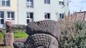 Eine Steinskulptur eines Fisches auf einem Baumstumpf in einem Garten, im Hintergrund ein Gebäude.