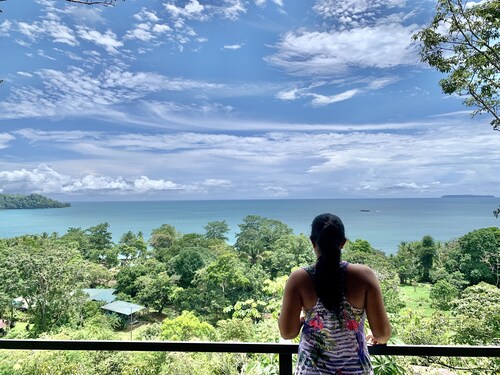 Aracari Nest - King Bed, Air Conditioning, Ocean View Sliding Glass Windows 