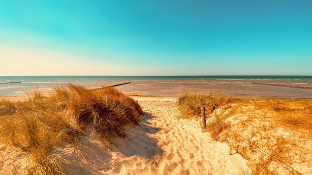 Playa