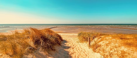 På stranden och solstolar