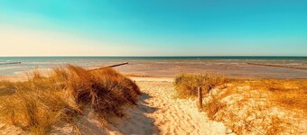 House Sansibar only 700m from the beach with sauna & fireplace and large garden