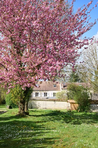 Charming and bright house 10min walk from the river and forest!