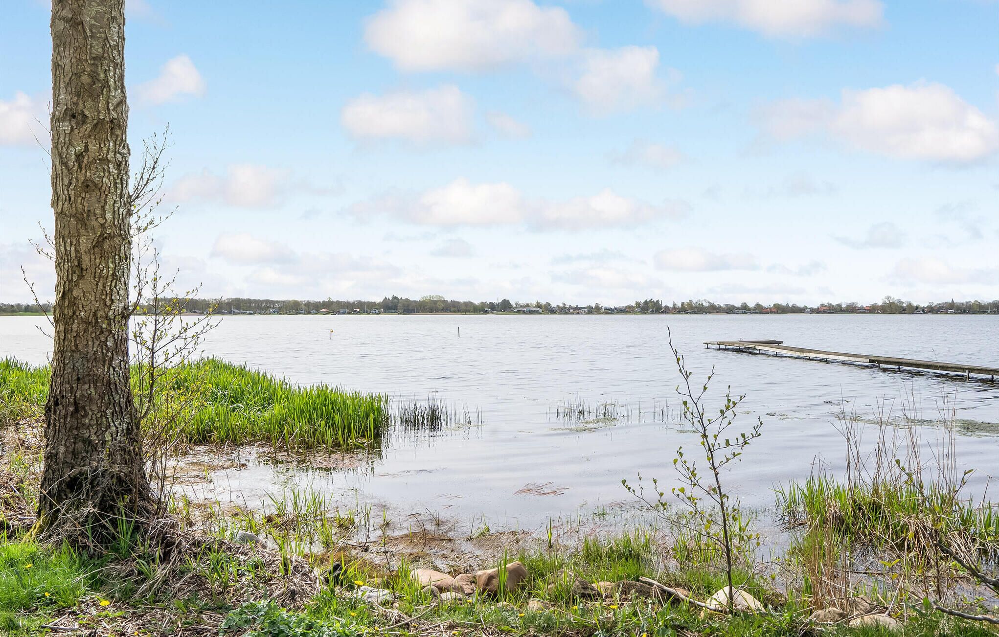 A lakeside view with a dock extending into the water, surrounded by greenery and a clear sky.