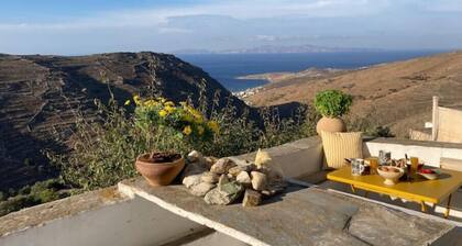 House of the Midnight Sheep