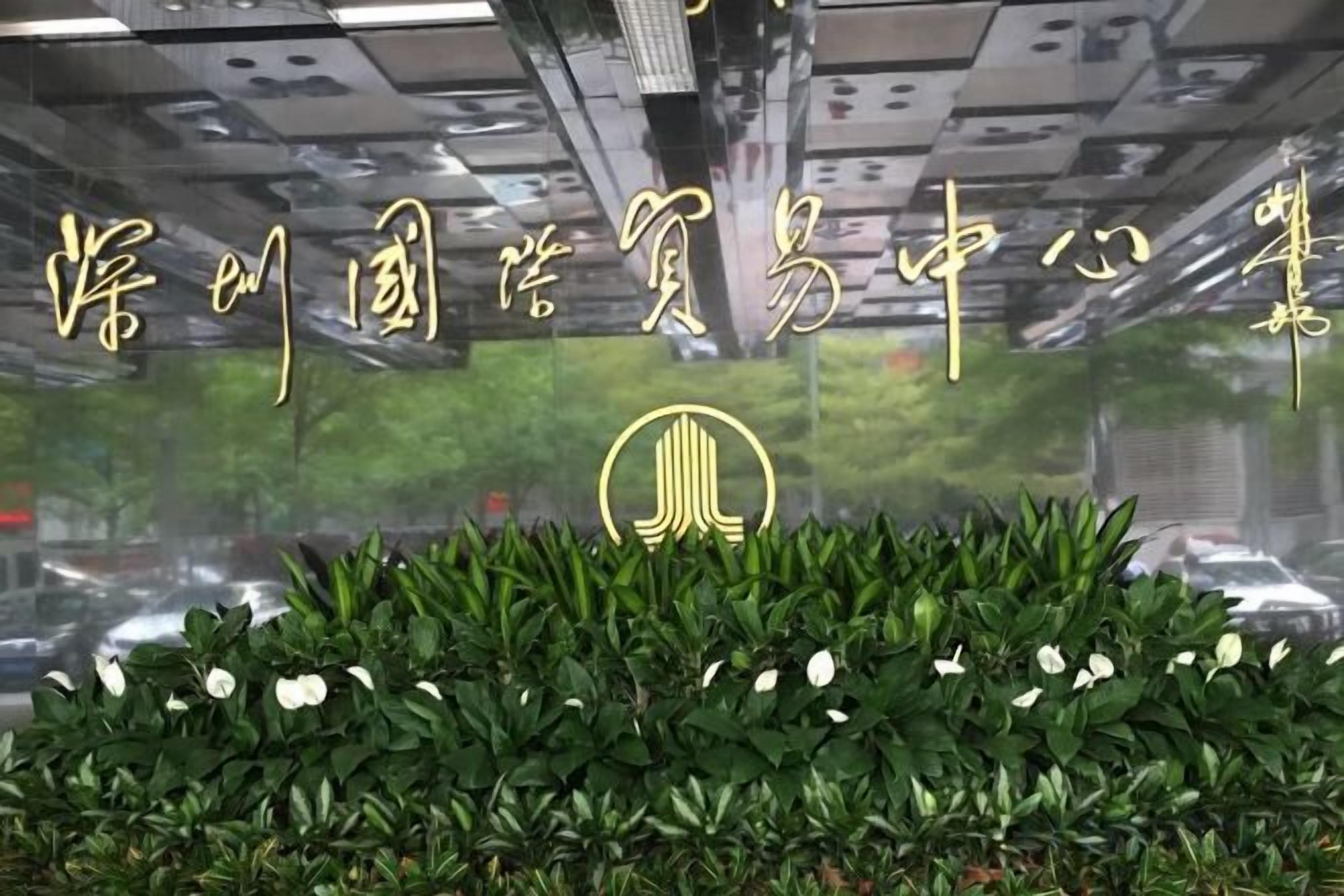 A hotel interior with a view of parked cars and greenery outside.