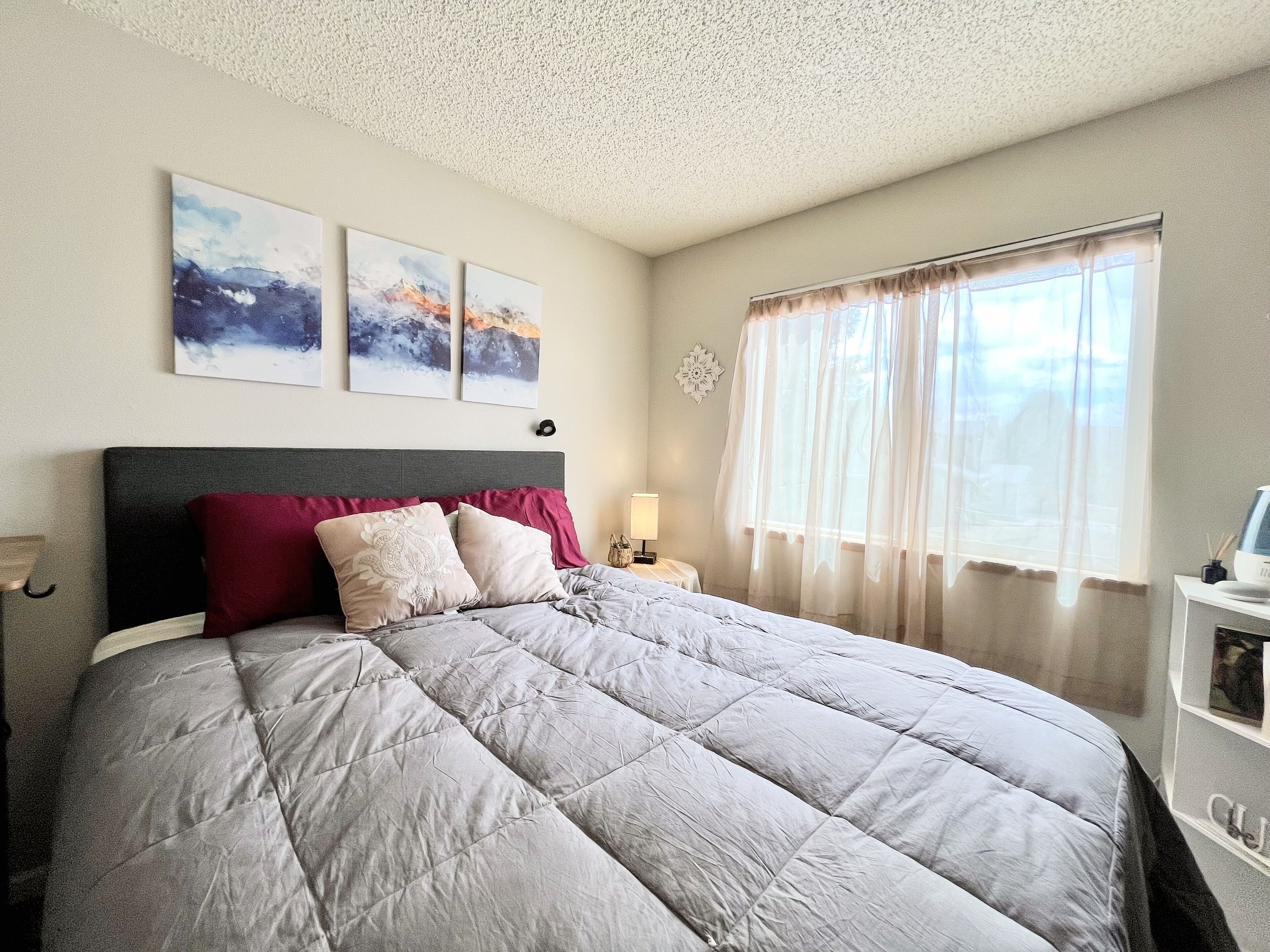 Beautiful 4Bdrm house near Peterson & AFA │ Fully fenced backyard