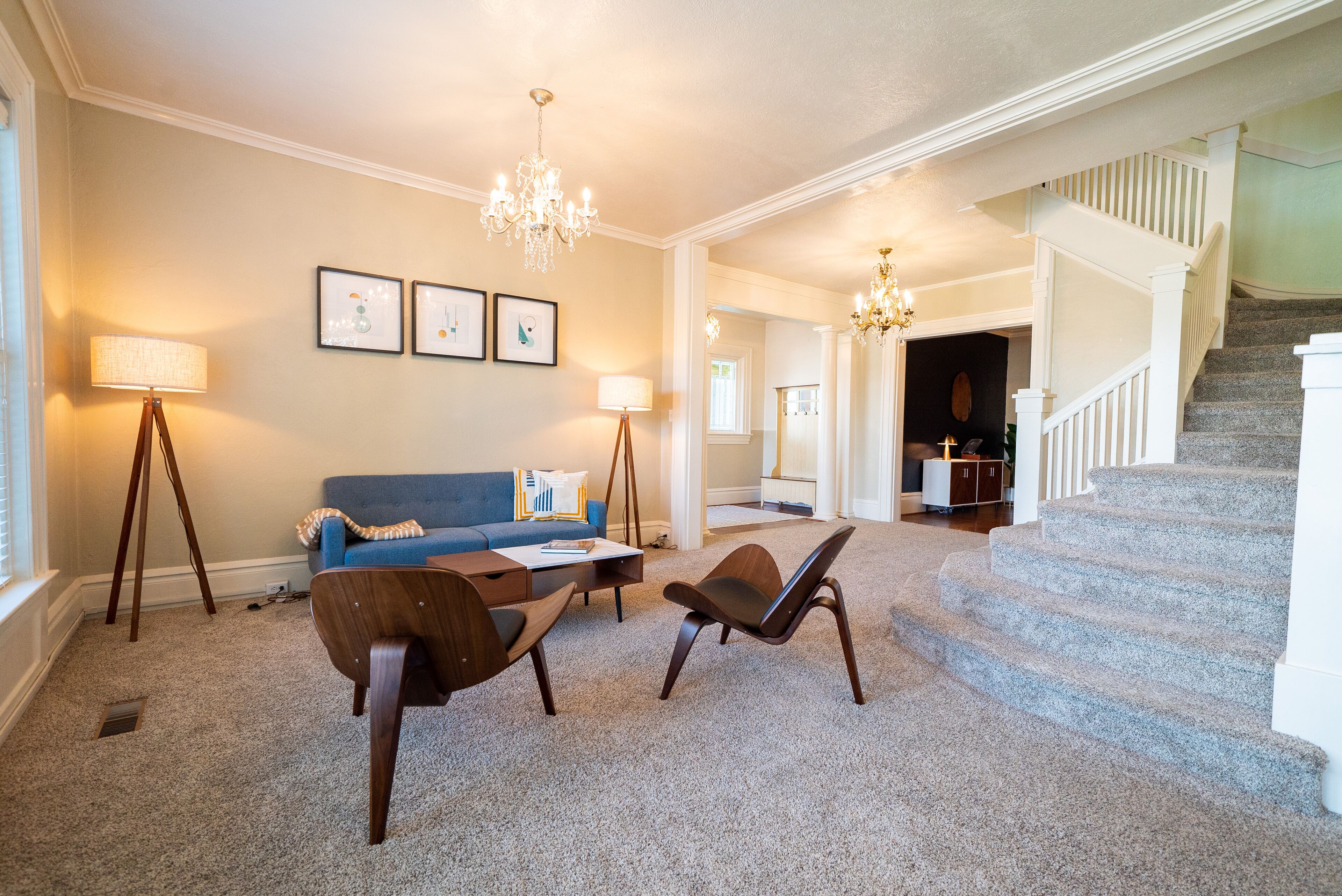 Smart TV, fireplace, books, music library