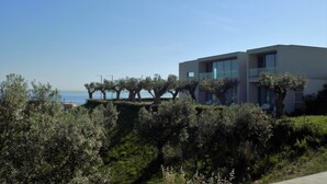 Un bâtiment moderne doté d’un toit plat et de grandes fenêtres, entouré d’oliviers et surplombant un ciel bleu azur.