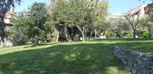 Parco della struttura