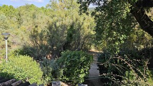 Un jardin avec un sentier, un lampadaire et un feuillage dense.