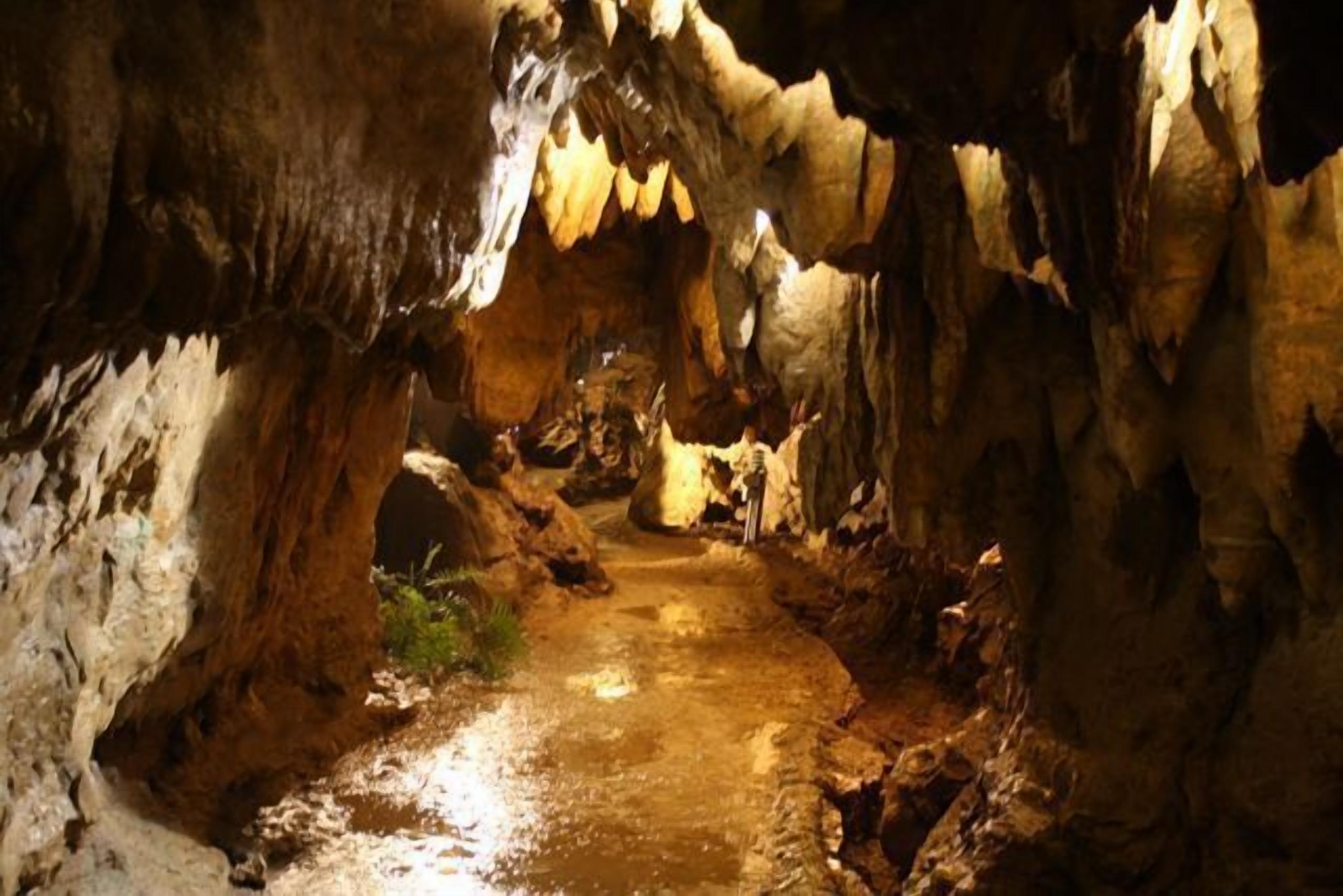 Una cueva con un estrecho pasadizo y estalactitas.