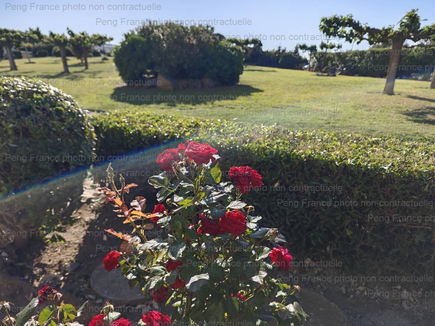 Overnattingsstedets uteområder