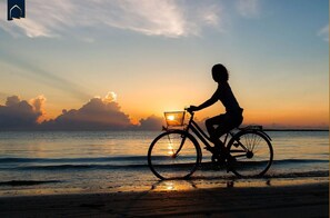 Eine Silhouette einer Person, die mit einem Korb beladenen Fahrrads am Strand bei Sonnenuntergang fährt.