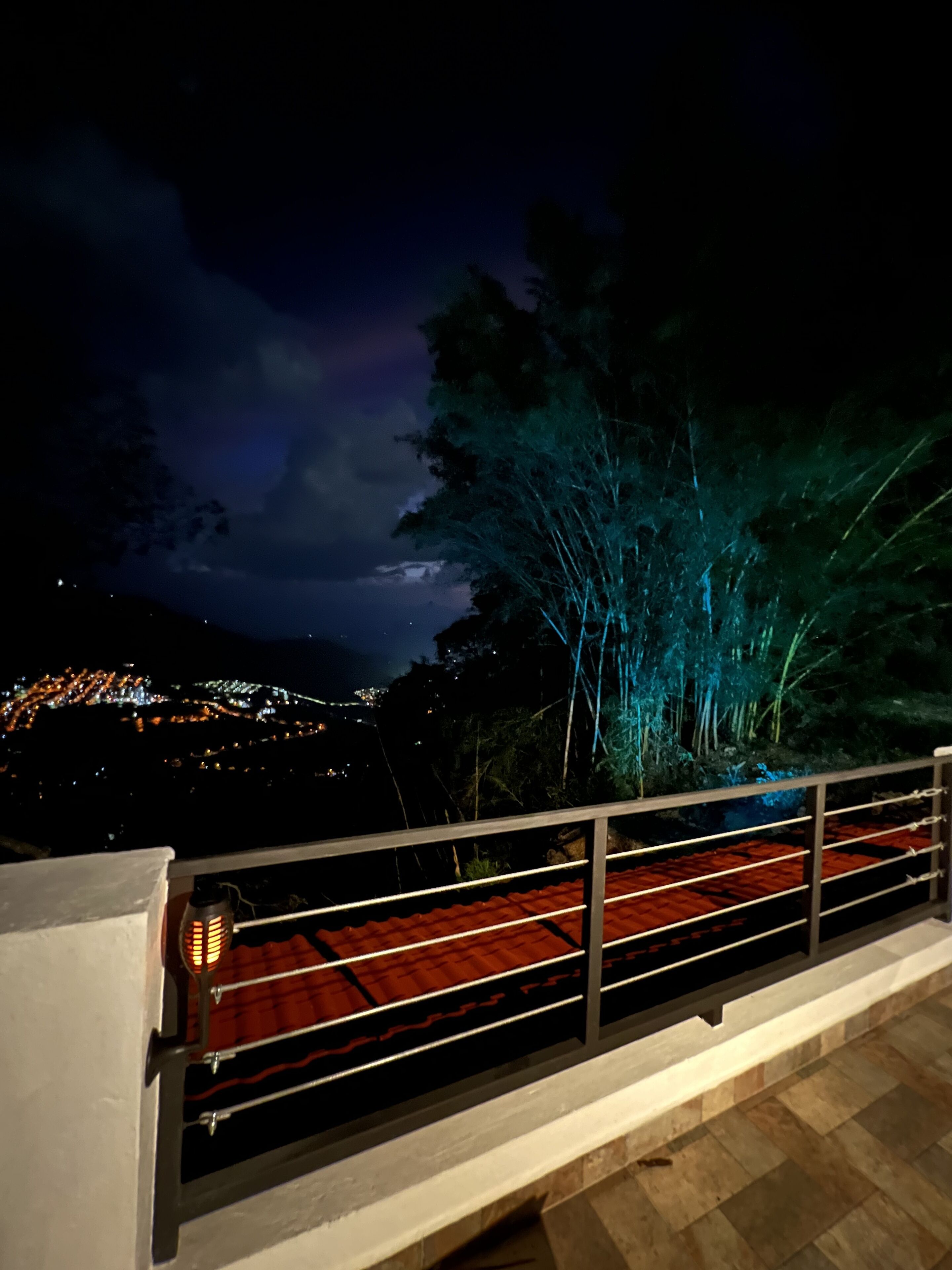 A night view from a balcony with a railing, overlooking a cityscape with illuminated buildings and a tree with blue lighting.