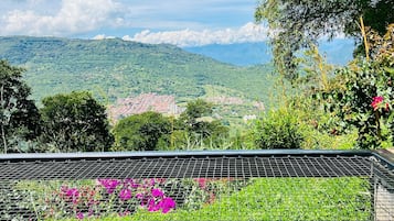 พรีเมียร์วิลล่า, 1 ห้องนอน, อ่างน้ำร้อน, วิวภูเขา | ลานระเบียง/นอกชาน