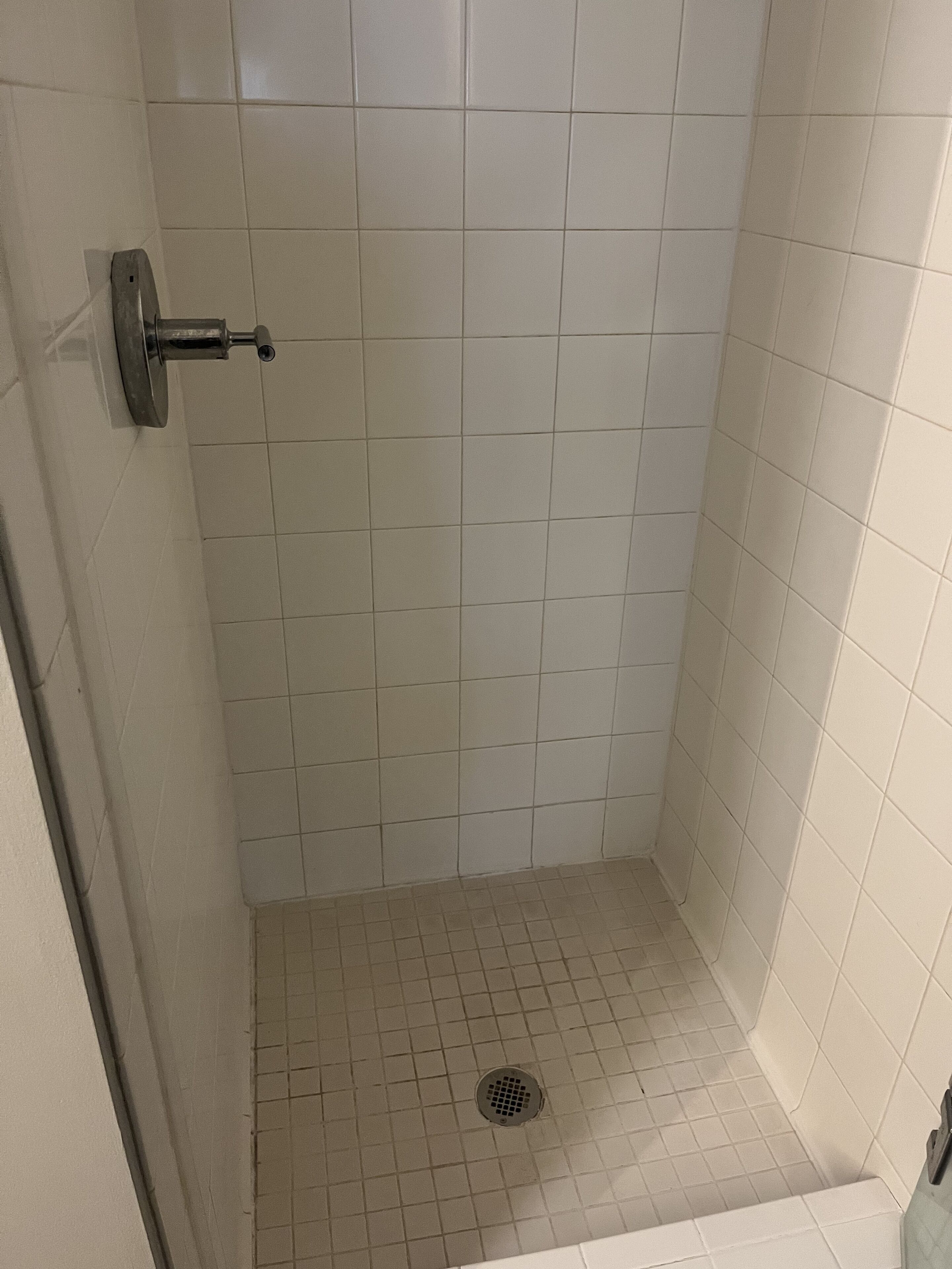 City Vibes High-rise