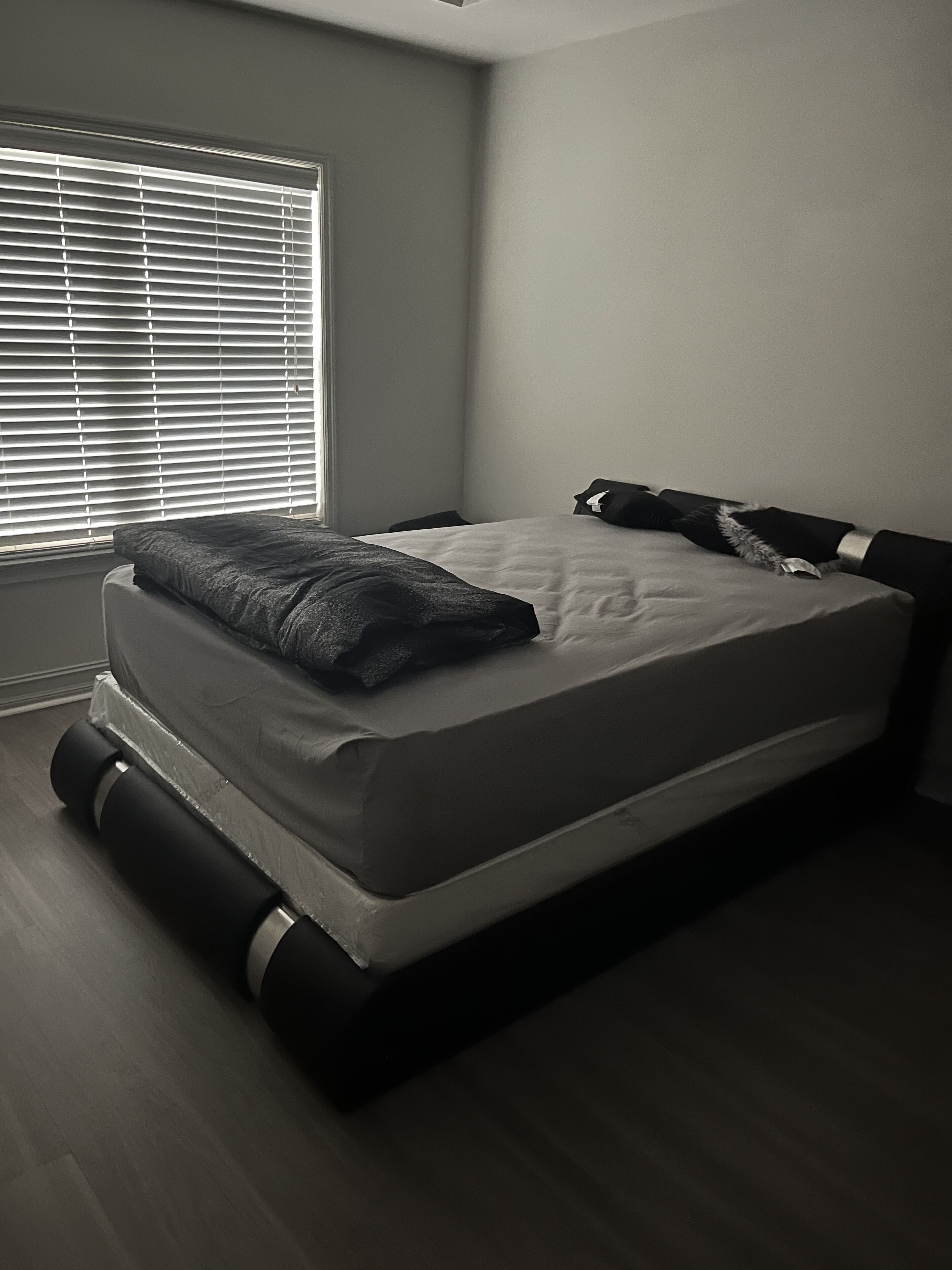 City Vibes High-rise