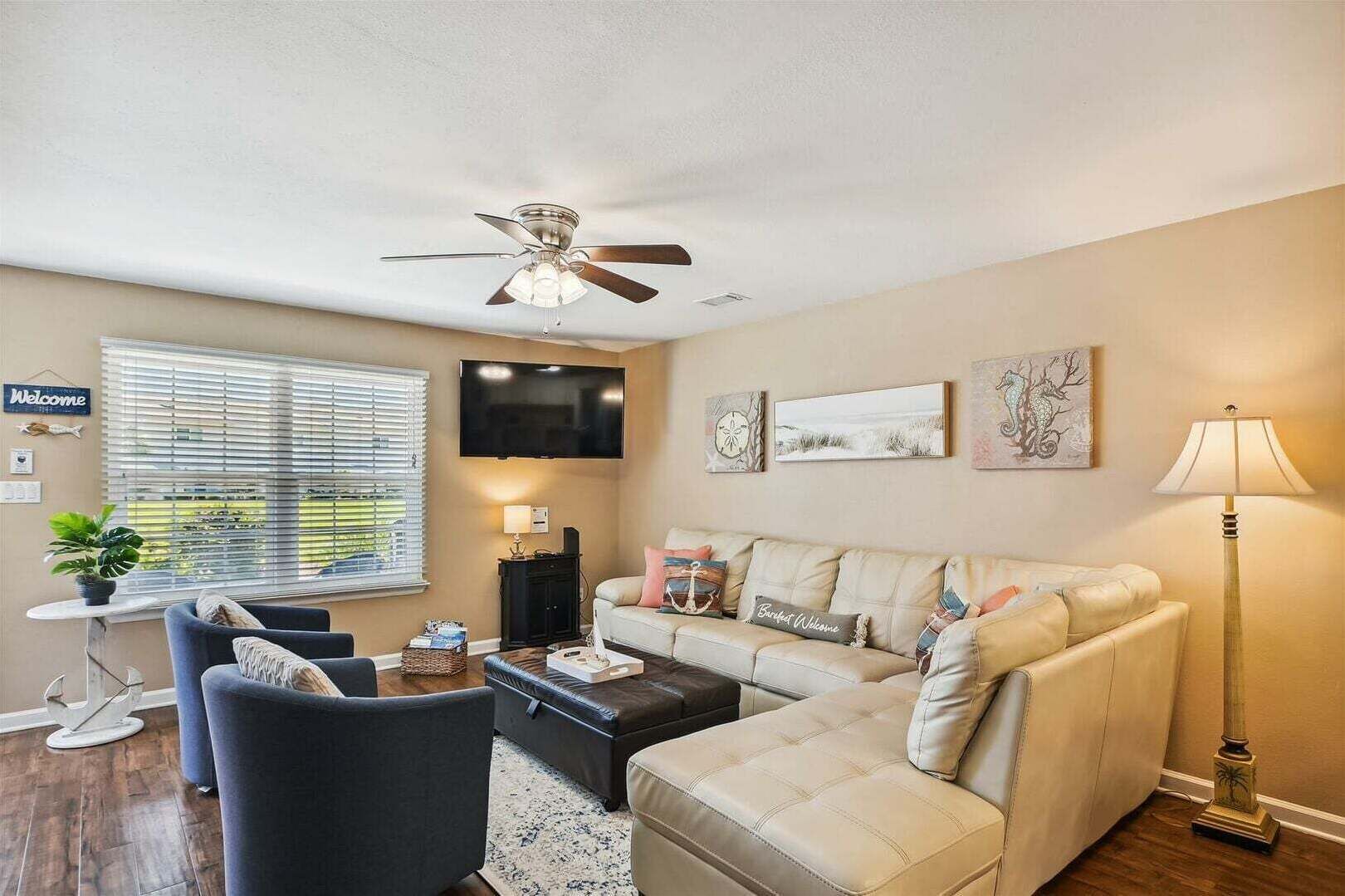 TV