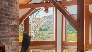 Una habitación con techo de madera, paredes de ladrillo y amplios ventanales que dan a vistas de árboles y colinas.