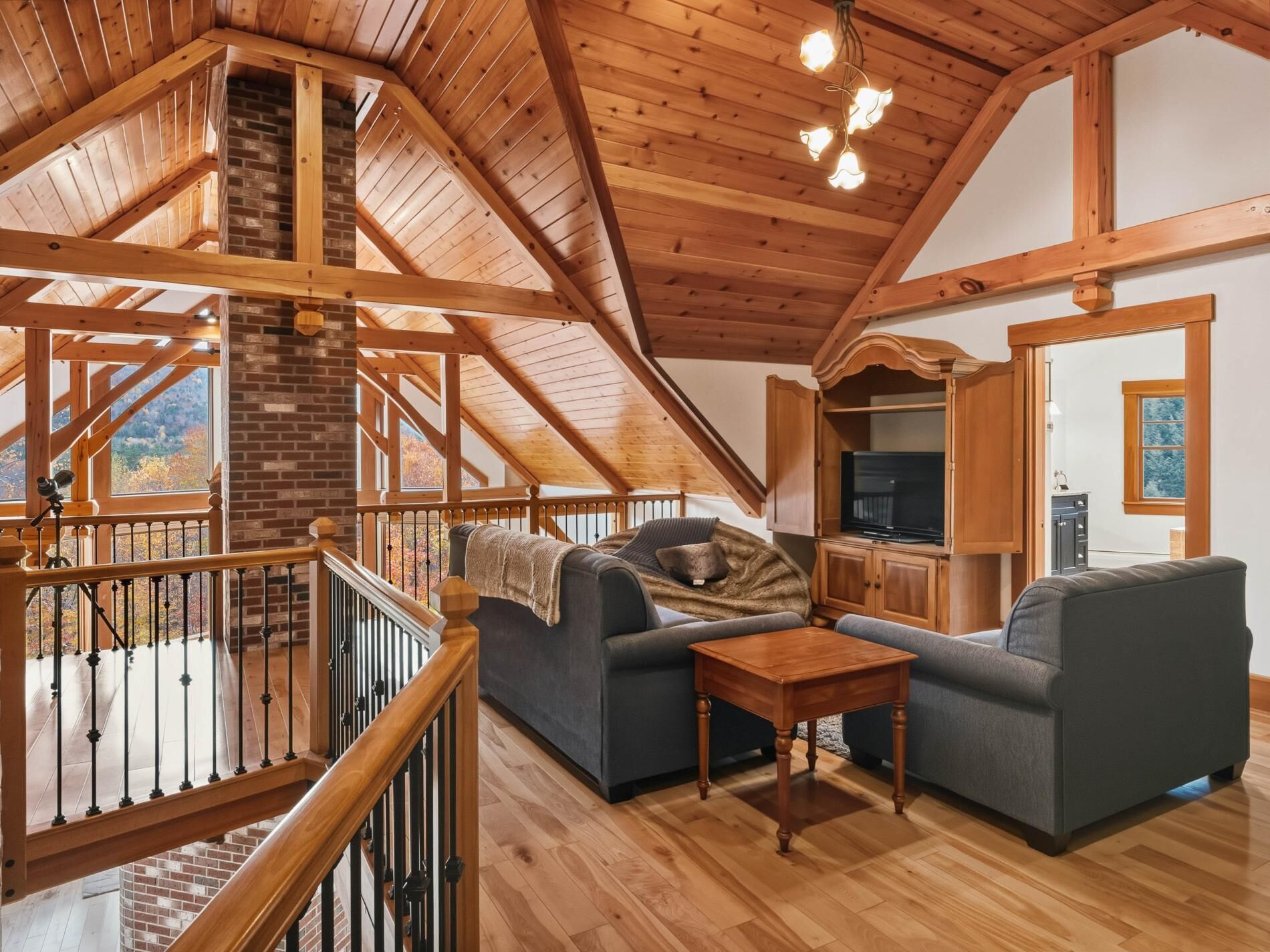 Smart TV, lareira, livros