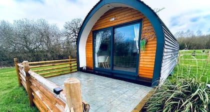 Beech Pod Cabin in beautiful surroundings Wrexham