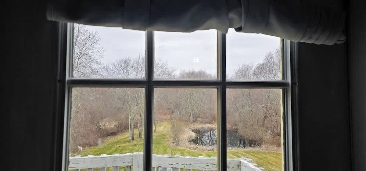 Ein Fenster mit Blick auf eine Wiese und Bäume.