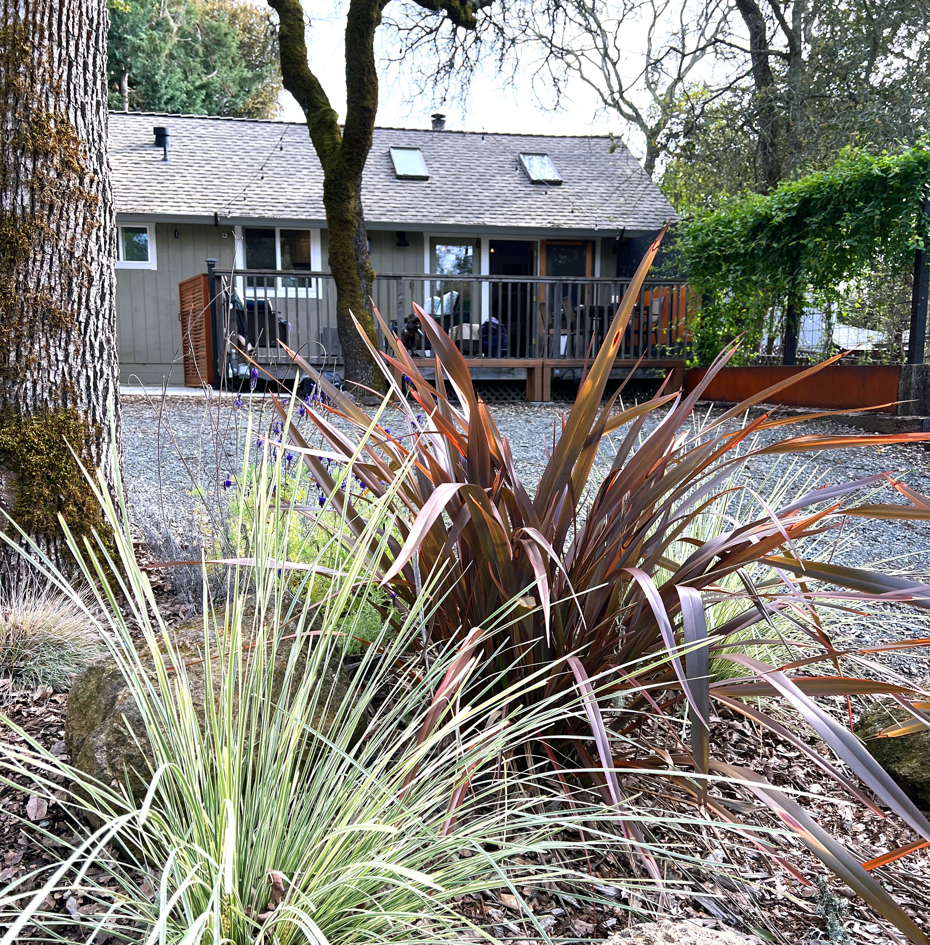 Sonoma Wine Country Cottage for Monthly Rental--3 miles from Sonoma Square!