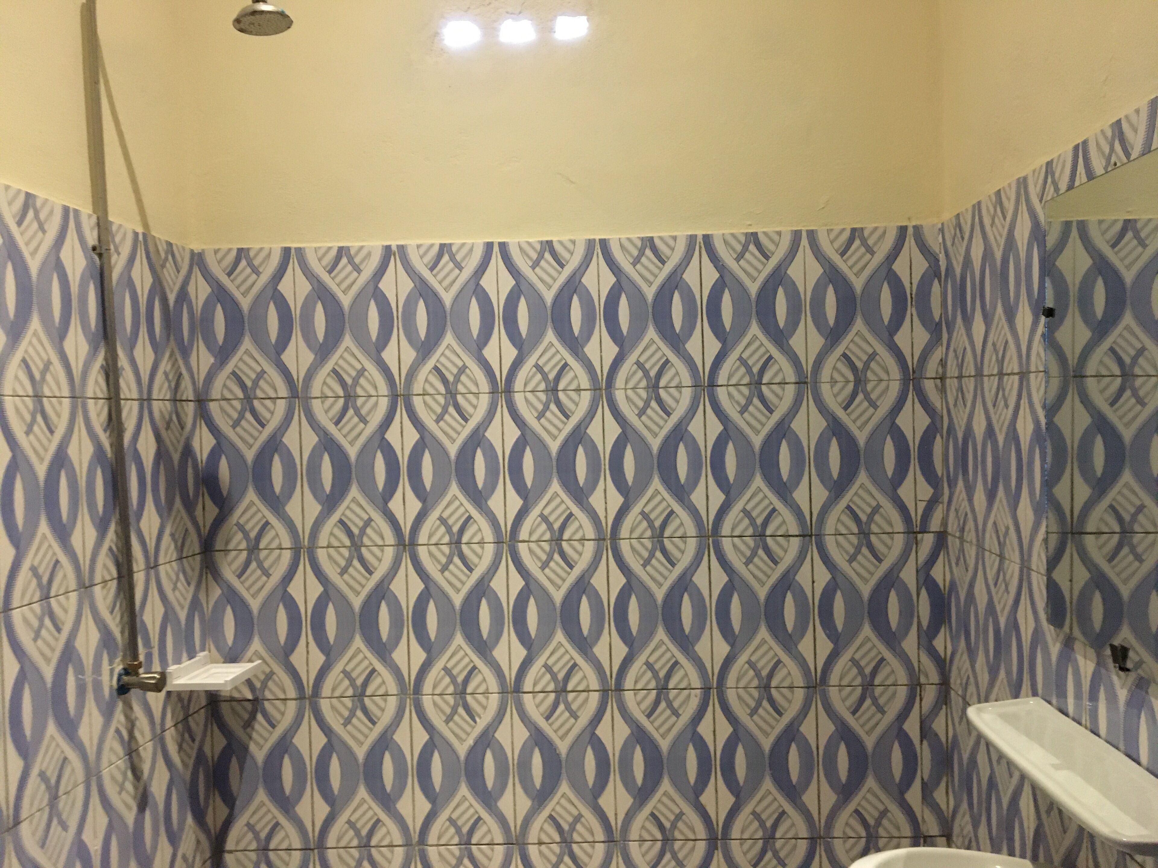 Une salle de bain avec des carreaux décorés, une douche et des toilettes.
