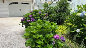 Un camino de entrada residencial con garaje, abundante vegetación y diversas plantas en flor.