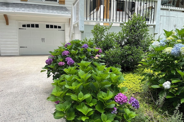 Detall de l'exterior