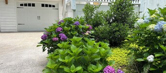 White House on a hill
Pet f., close to wedding venues, Roswell, Milton & Canton.