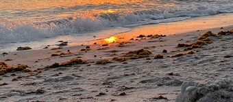 Gorgeous house , private road, 0.8 miles to Manasota Beach-RomanticGataway