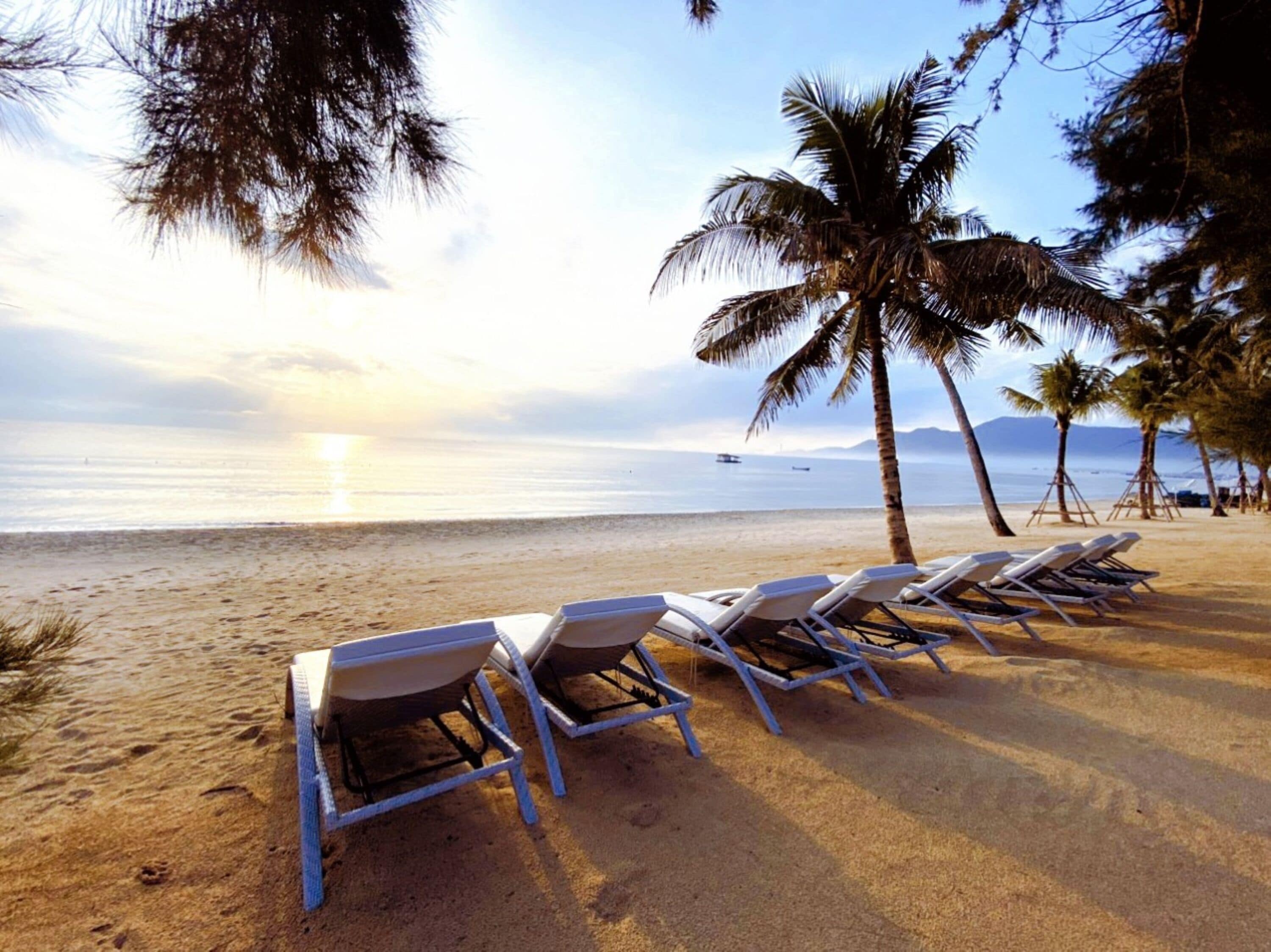 A beach with sun loungers and palm trees.