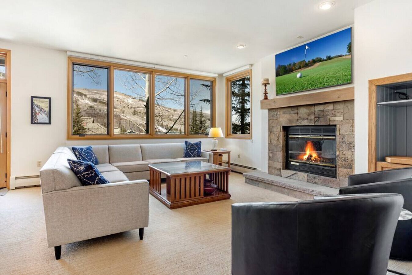 TV, fireplace