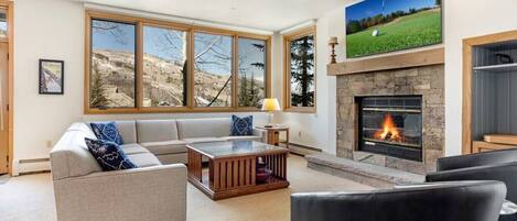 TV, fireplace