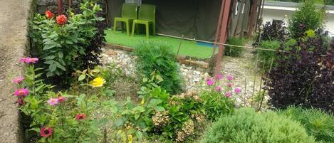 A garden with a small seating area under a tent, surrounded by various plants and flowers.