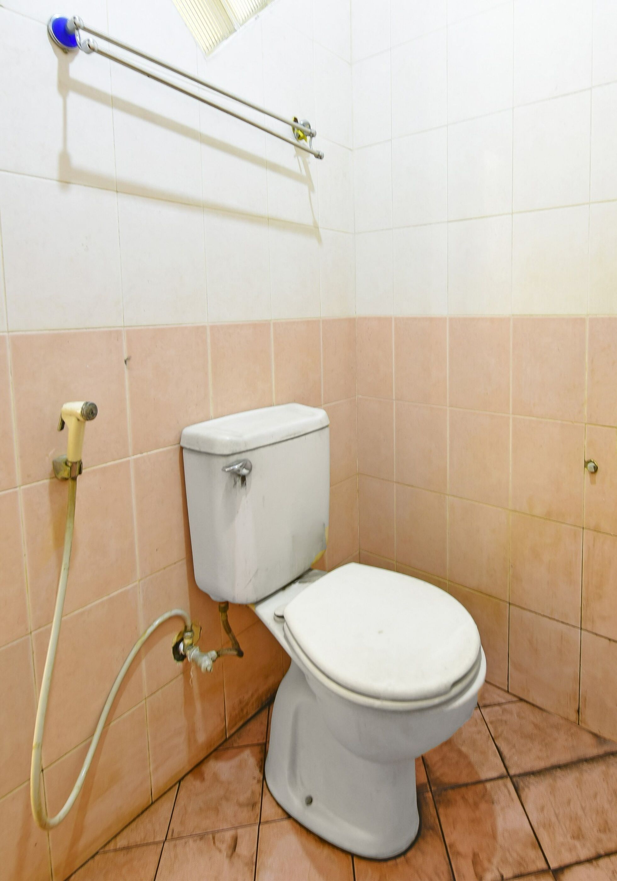 A standard bathroom with a toilet, a showerhead, and a handrail.