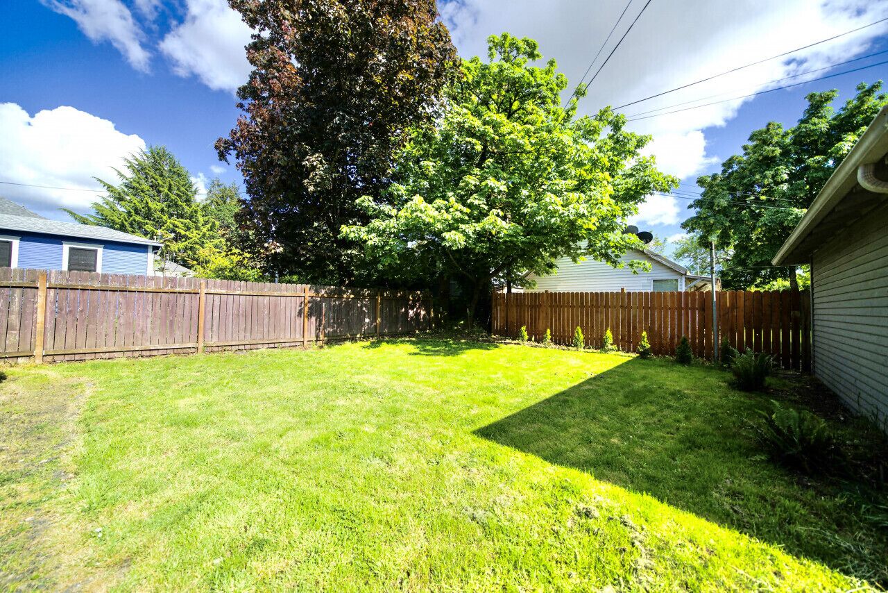A backyard with a wooden fence, a large tree, and a lawn.