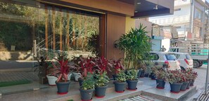 Front of property - Hotel The Mango Tree (Kangra)