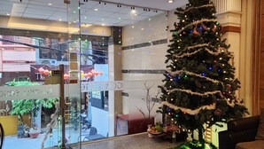 A lobby with a glass wall, a Christmas tree, and a reception desk. - Beautiful Saigon Hotel (Ho Chi Minh City)
