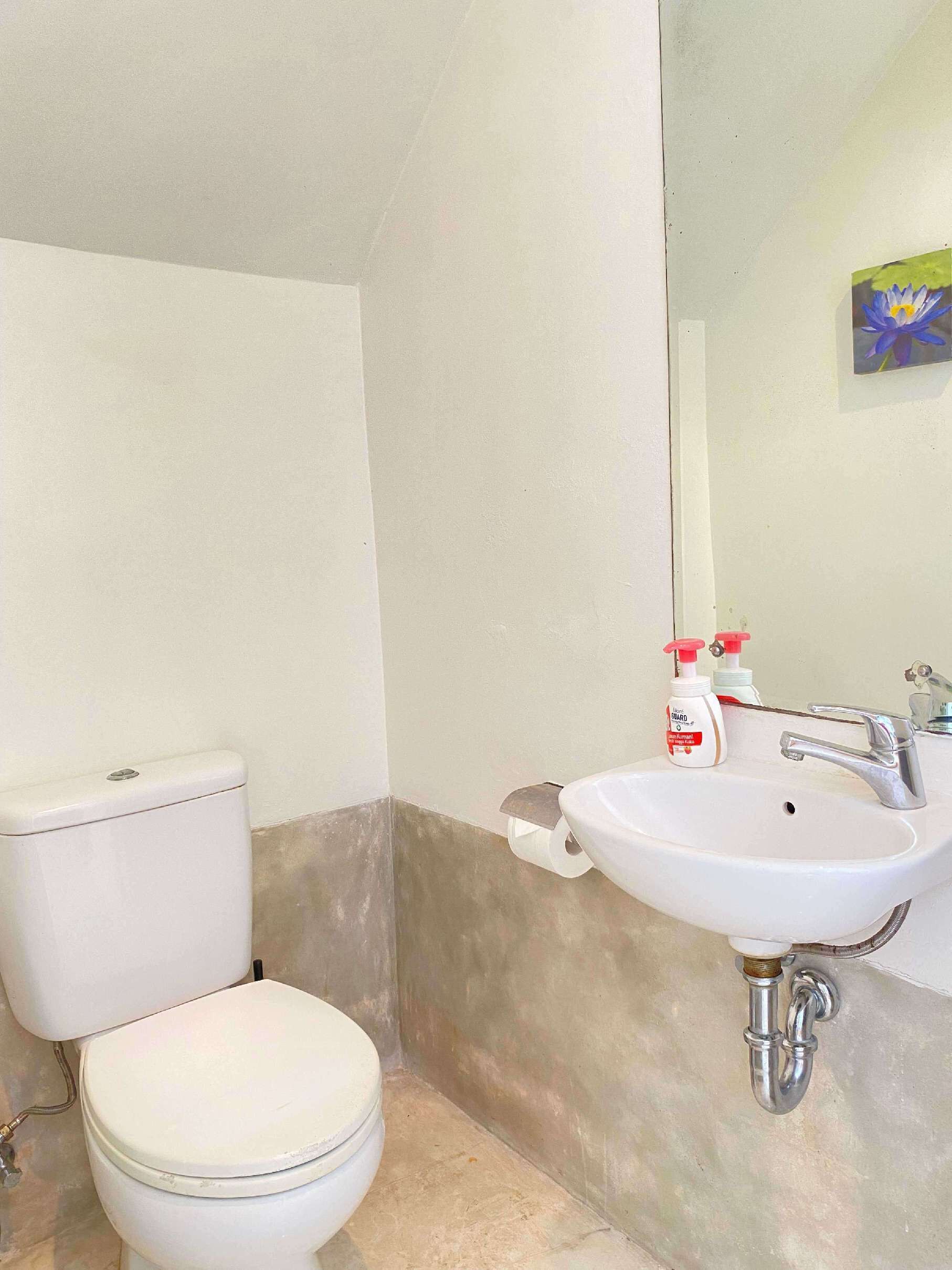 Seminyak luxury 2 bedroom villa with large pool and tropical garden