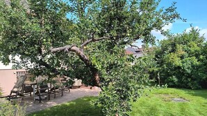 A backyard with a tree, a patio with chairs, and a lawn. - Gîte Familial Avec Jardin et Garage Clos (OBERENTZEN)