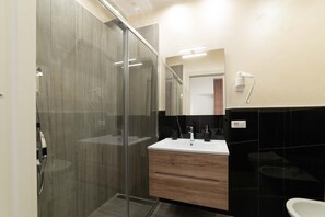 Shower, hair dryer, bidet, towels