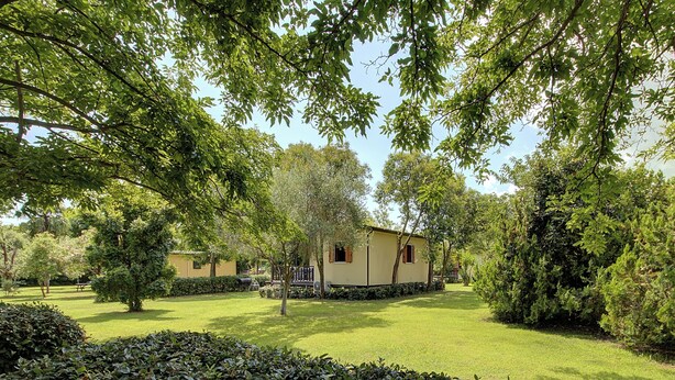 Une maison entourée d’une végétation luxuriante, avec une pelouse bien entretenue et un ciel dégagé.
