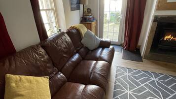 TV, fireplace, books