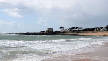 Plage, chaises longues