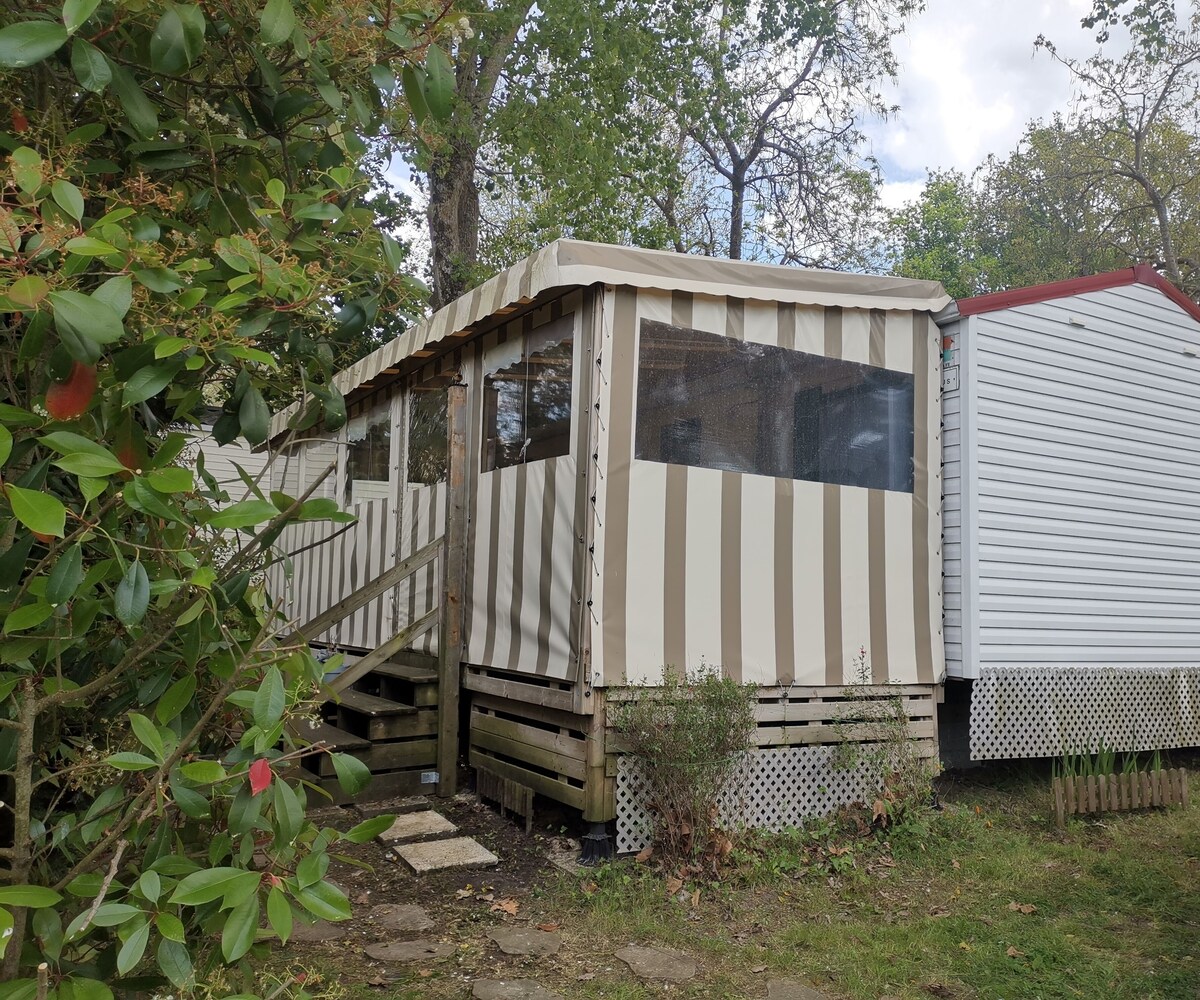 Imagen de perfil del propietario o de la propietaria