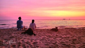 A beach scene with people sitting on the sand, a dog lying down, and a boat in the water. - SOHO HOMESTAY PHU QUOC (Phu Quoc)