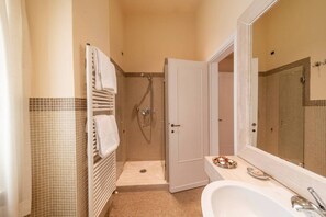 Shower, hair dryer, bidet, towels